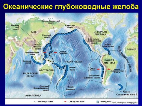 Происхождение и определение гладей и морей