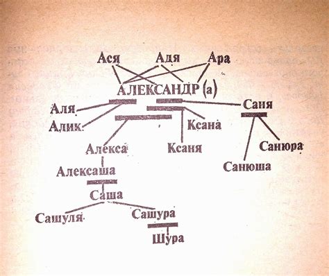 Происхождение полного названия