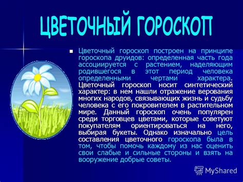 Пророческие и предостерегающие образы снов, связанные с растением, наделяющим нас силой и энергией