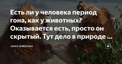 Пророческое значение сновидений о охоте на даму леса: есть ли скрытый смысл?