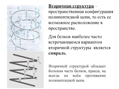 Пространственная конфигурация и ее роль