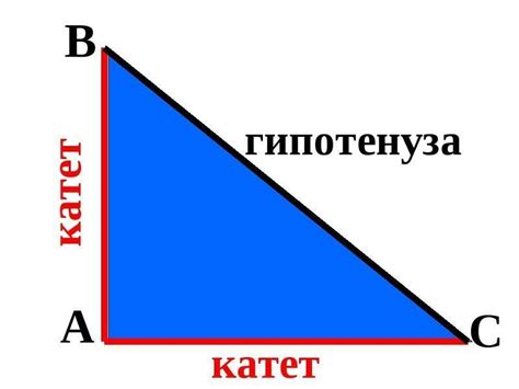 Противолежащий катет: роль и определение в геометрии треугольников