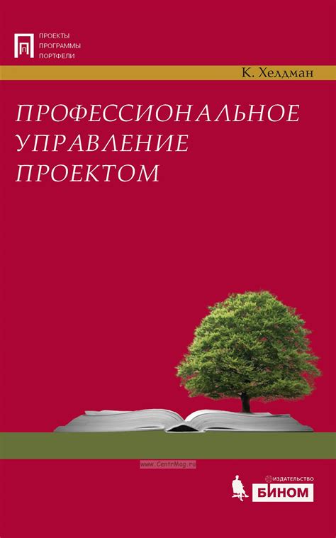 Профессиональное управление в городе