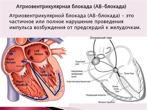 Профилактика внутриназальной блокады