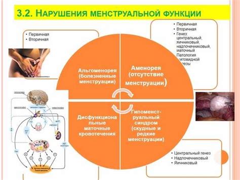 Профилактика нарушения цикла