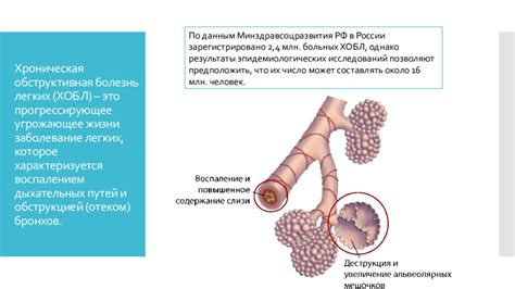 Профилактика пробитых легких