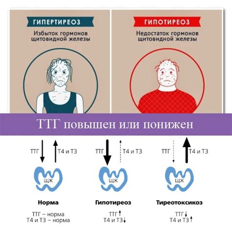 Профилактика солидных узлов щитовидной железы