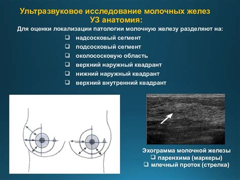 Профилактические меры по контролю плотности молочных желез типа С