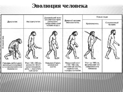 Профильная история: история развития человека в конкретной области