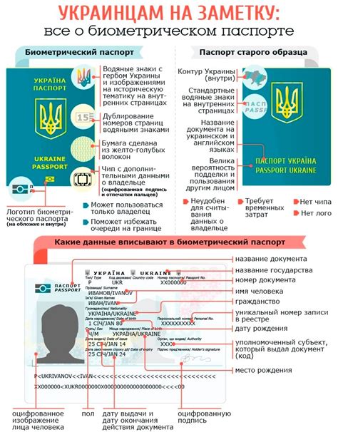 Процедура получения синего паспорта в Украине