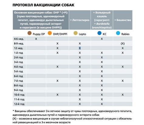 Процедура разведения вакцины Нобивак dhppi