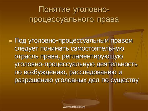 Процессуальная отрасль и уголовное право