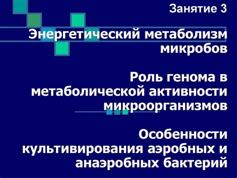 Процессы и механизмы метаболической активности