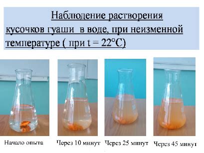 Процесс диффузии и его значение