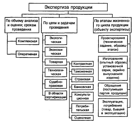 Процесс проведения экспертизы