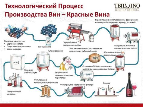 Процесс производства концентрированного вина