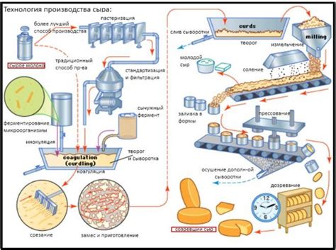 Процесс производства фасованного сыра