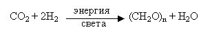 Процесс распускания желатина: подробное объяснение