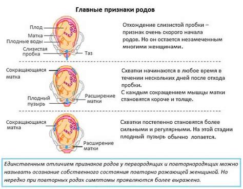 Процесс родов: остановка схваток