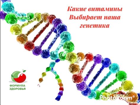 Процесс синтеза белков в человеческом организме