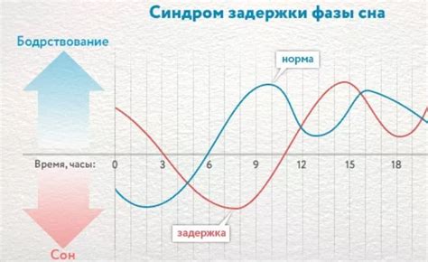 Процесс сна: фазы и циклы