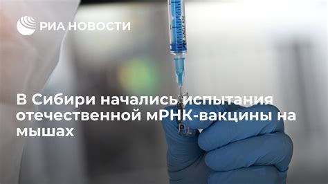 Процесс создания МРНК вакцины