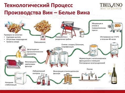 Процесс созревания вина