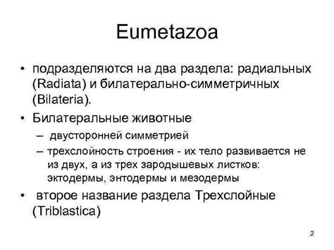 Процесс формирования билатерально симметричных форм