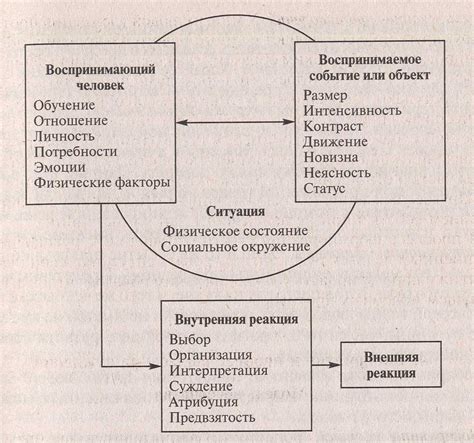 Процесс формирования обманчивого оптимизма