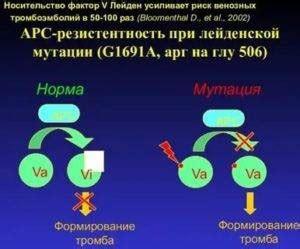 Проявление генных аномалий в гетерозиготной форме