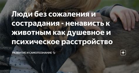 Проявление сострадания к животным