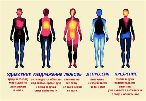 Проявление эмоций и страхов в снах о предыдущем супруге