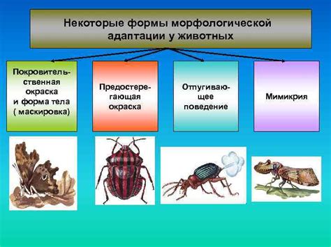 Проявления морфологической адаптации у растений