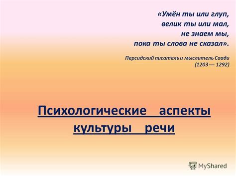 Психологические аспекты оскорбительной речи: почему слова могут причинять боль