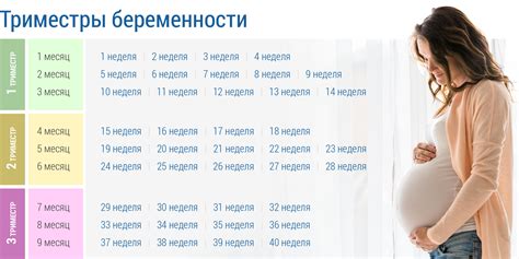 Психологические и культурные аспекты исследования сновидений о беременности в период менструаций