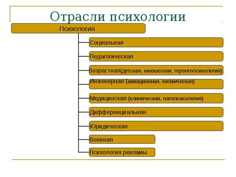 Психологические характеристики маскулинного лица