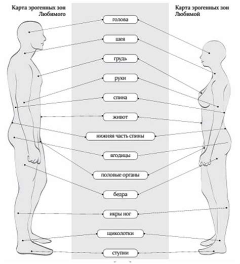 Психологический аспект стимуляции эрогенных зон