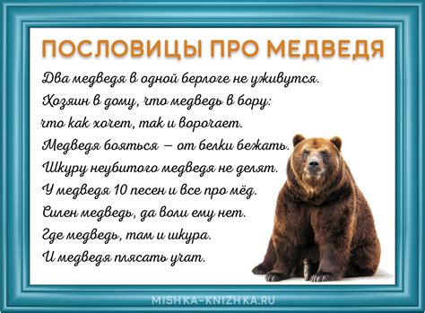 Психологическое значение визуального восприятия медведя в городской среде