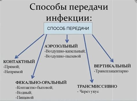 Пути передачи глистных инвазий