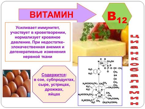 Путь накопления витамина С в организме