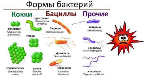 Пыль, вирусы и бактерии: стимулы чихания