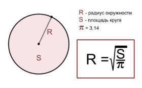 Радиус в медицине: измерение и интерпретация