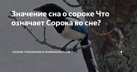 Радостное пророчество о появлении прекрасного сына во сне: глубинное понимание и интерпретация