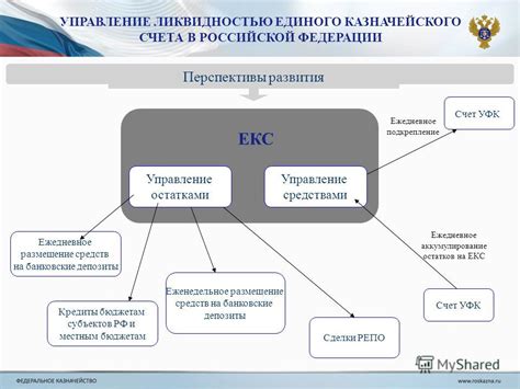 Развитие казначейского обеспечения в России