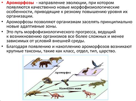 Развитие настей в процессе эволюции