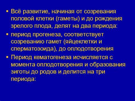 Развитие суставов: от рождения до зрелого состояния