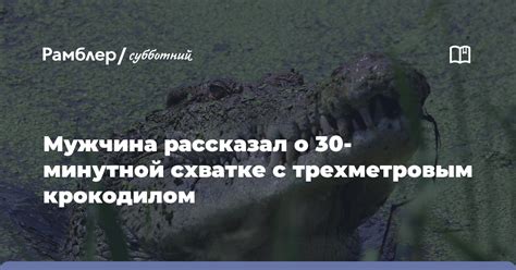 Разгадка загадочных видений: все, что нужно знать о сновидении с крокодилом в соннике Миллера