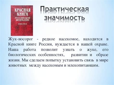 Разгадка символического значения снов о жуке носороге