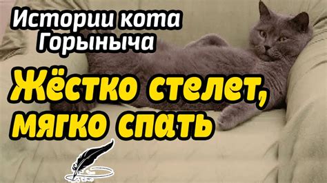 Раздел 1: Фраза "мягко стелет - жестко спать"