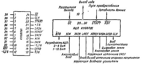 Раздел 2: Особенности ввода кода 1000